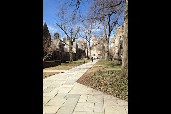 Yale University New Haven, CT